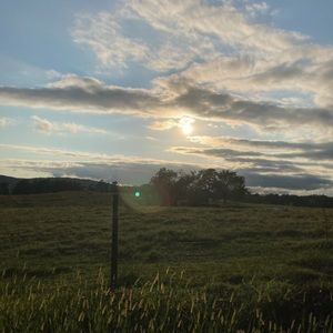 Meet your Posher, Dani